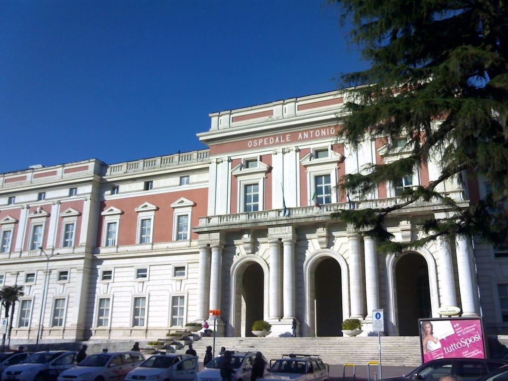 &nbsp;L'ospedale Cardarelli di Napoli