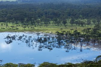 Silvia rapita in Kenya, XLVI giorno. Le ricerche nella Foresta di Boni