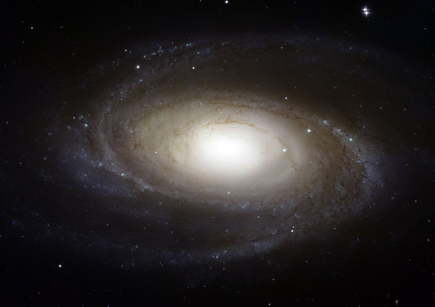 &nbsp;La galassia a spirale M81