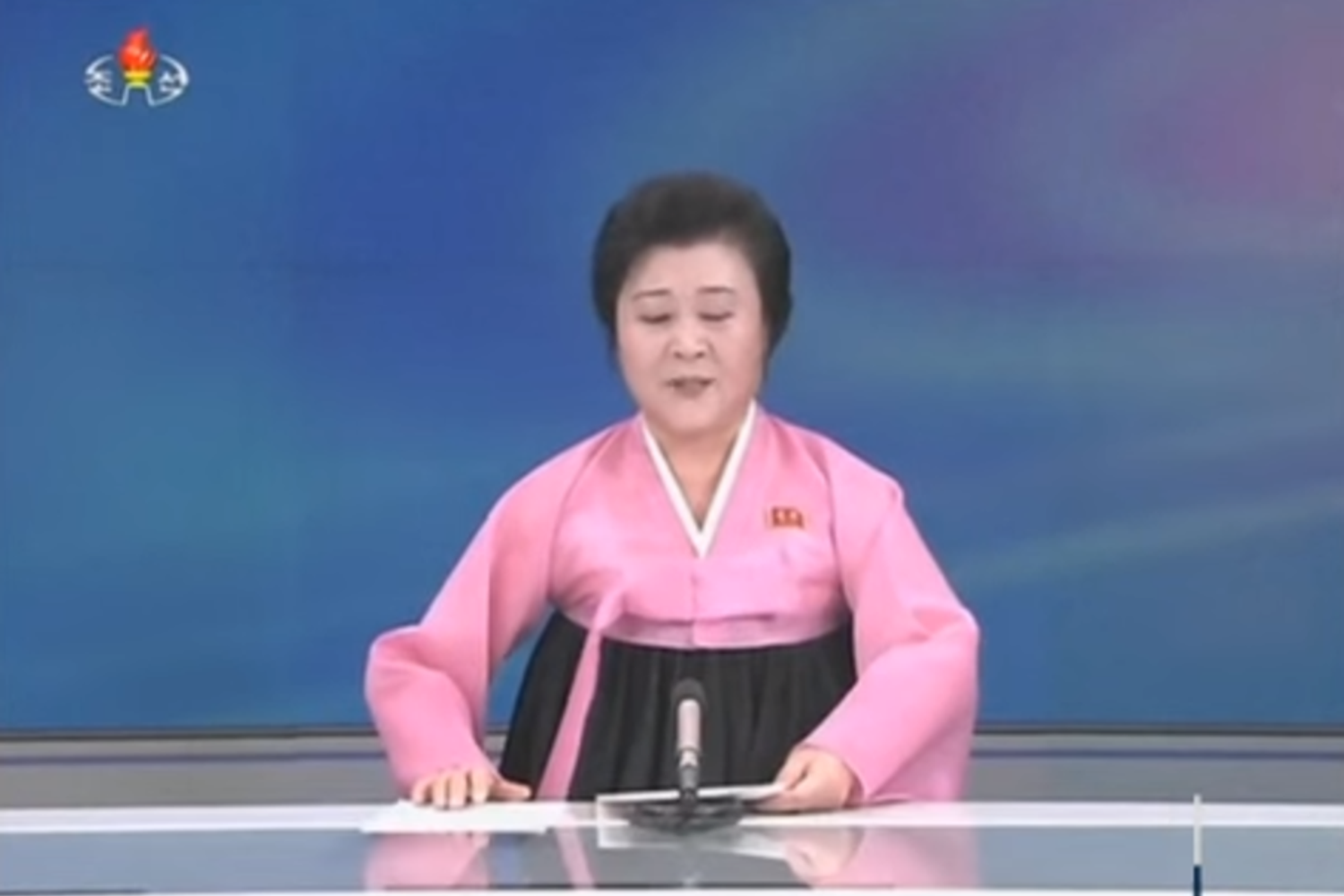 Chul Lee, la giornalista pi&ugrave; amata dalla propaganda nordcoreana