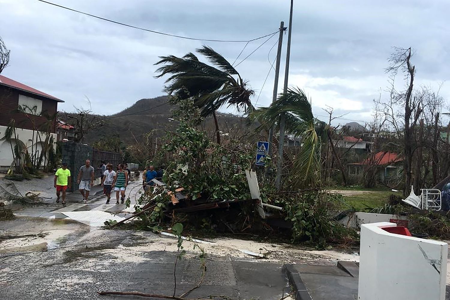 Alberi in una strada di Gustavia, nei Caraibi dopo l'uragano Irma (Afp)&nbsp;