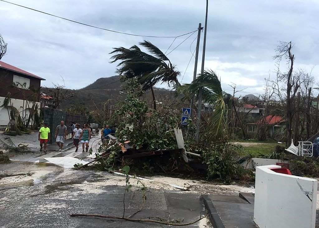 Alberi in una strada di Gustavia, nei Caraibi dopo l'uragano Irma (Afp)&nbsp;