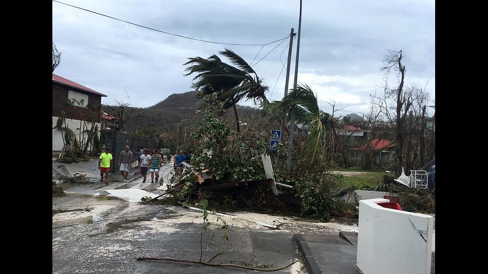 Alberi in una strada di Gustavia, nei Caraibi dopo l'uragano Irma (Afp)&nbsp;