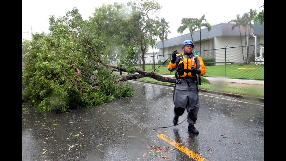 Un membro dell'equipaggio di ricerca e salvataggio lega una corda ad un albero caduto per farlo tirare da un camion durante una missione di ricerca a Puerto Rico (Afp)&nbsp;