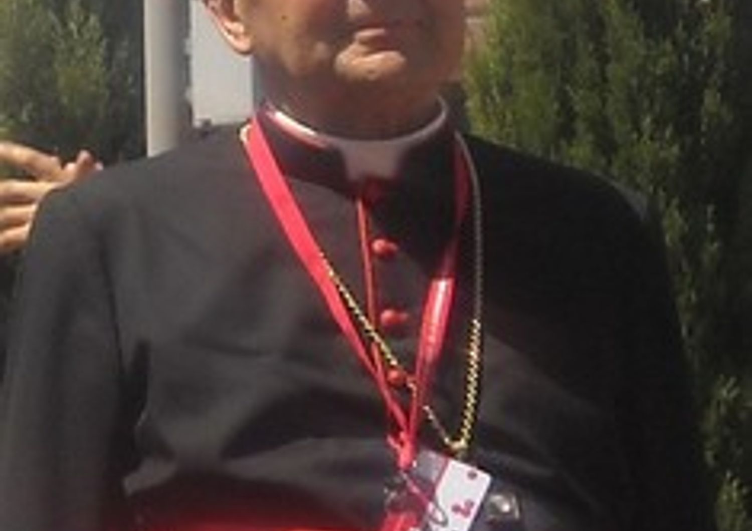 Carlo Caffarra papa francesco