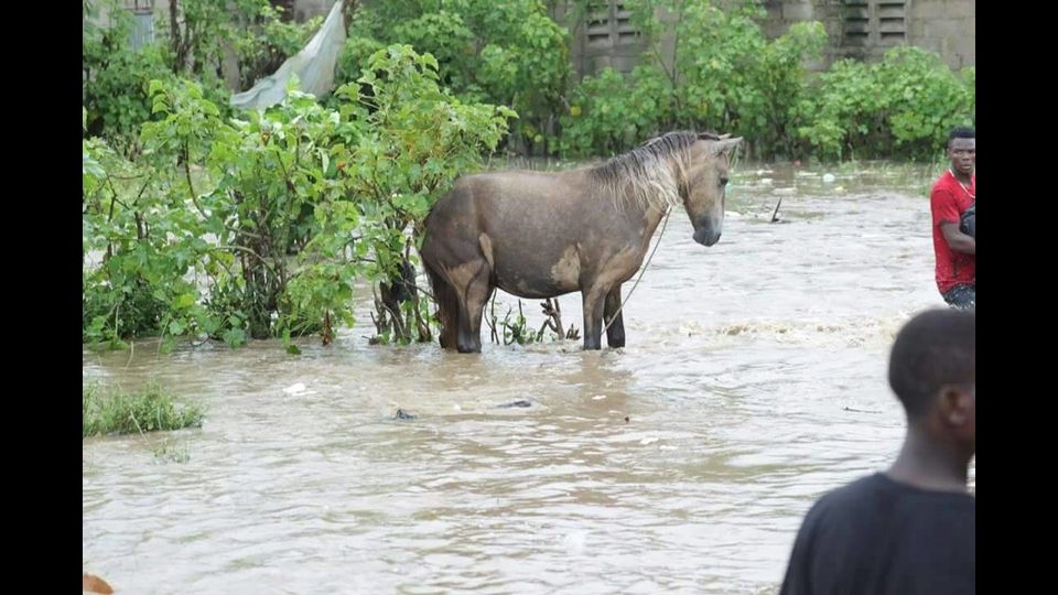 &nbsp;Gravi danni su Haiti e Domenicana dopo il passaggio di Irma&nbsp;