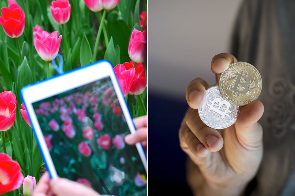 Tulipani e bitcoin&nbsp;