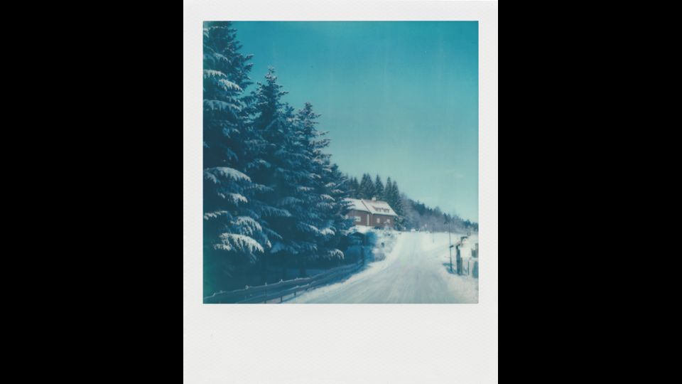 &nbsp;Graham Webster