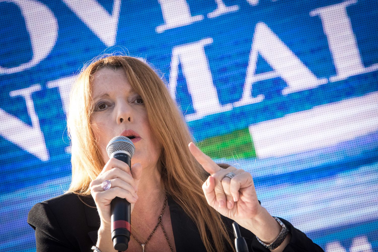 &nbsp;Michela Vittoria Brambilla