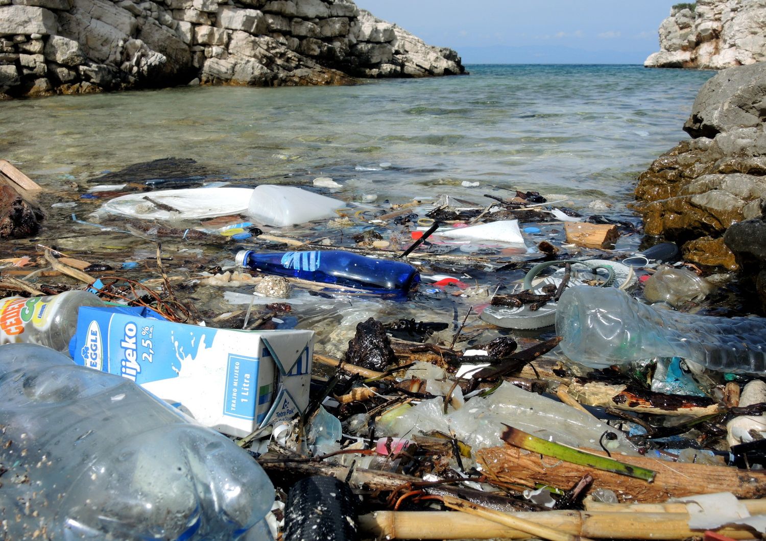 La plastica nemica dell'ambiente