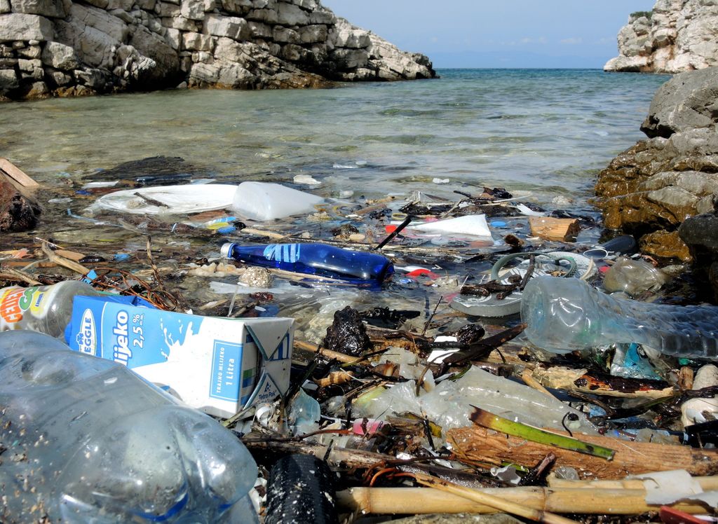 La piaga dei rifiuti di plastica negli oceani