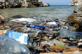 La plastica nemica dell'ambiente