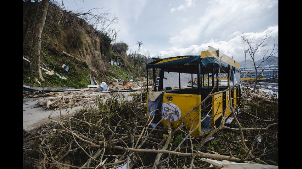 I resti di un veicolo rimasto intrappolato tra la vegetazione di Roseau, colpita dall'uragano Maria (Afp)&nbsp;