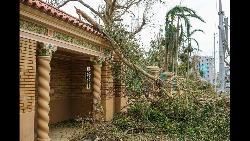 Un albero blocca l'ingresso principale all'Universit&agrave; di Puerto Rico,  dopo il passaggio dell'uragano Maria a Ponce de Leon a San Juan Puerto Rico (Afp)&nbsp;