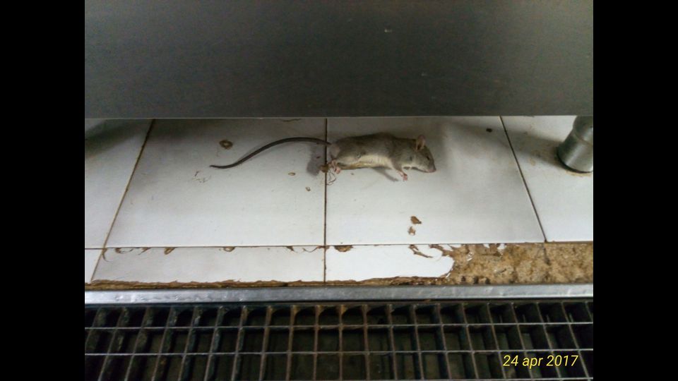 &nbsp;Ospedale Modica, le foto della cucina.