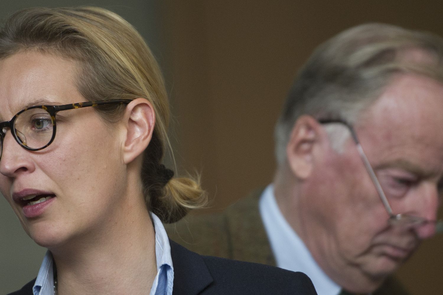 &nbsp;Alice Weidel e Alexander Gauland