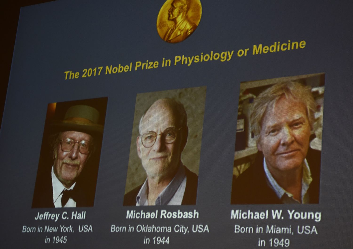 Nobel per la Medicina: Jeffrey C. Hall, Michael Rosbash and Michael W. Young (AFP)&nbsp;