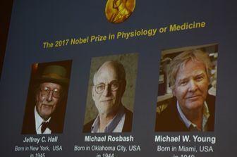 Nobel per la Medicina: Jeffrey C. Hall, Michael Rosbash and Michael W. Young (AFP)&nbsp;