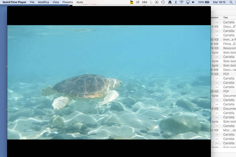 Caretta (fotogramma video)&nbsp;