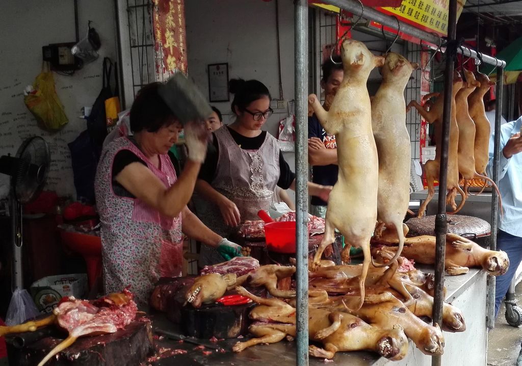 Festa della carne di cane a Yulin - Cina (AFP)&nbsp;