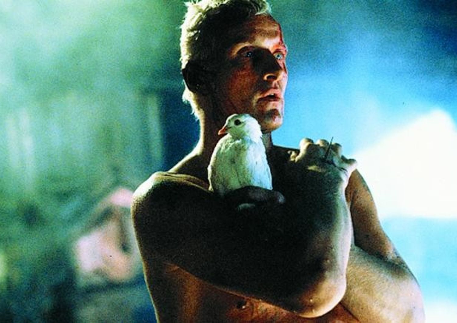 Blade Runner del 1982 - Rutger Hauer nella scena finale