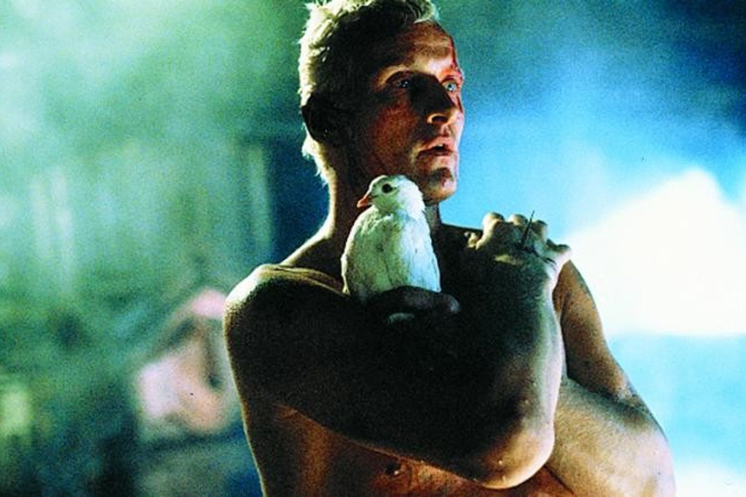 Blade Runner del 1982 - Rutger Hauer nella scena finale