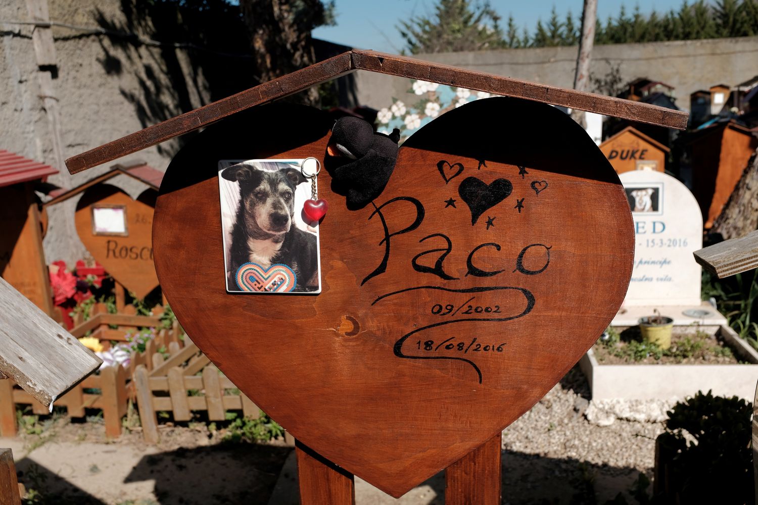 &nbsp;Il cimitero per animali Casa Rosa