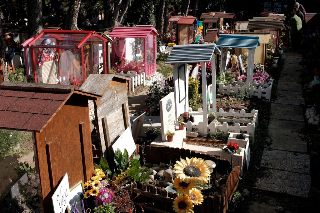&nbsp;Il cimitero per animali 'Casa Rosa' di Roma