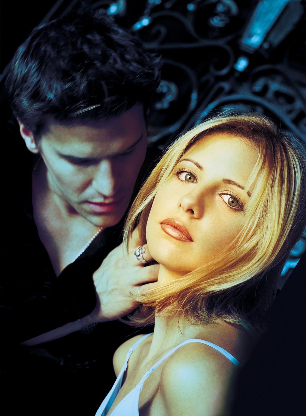 David Boreanaz&nbsp;