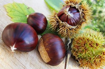 &nbsp;Castagne