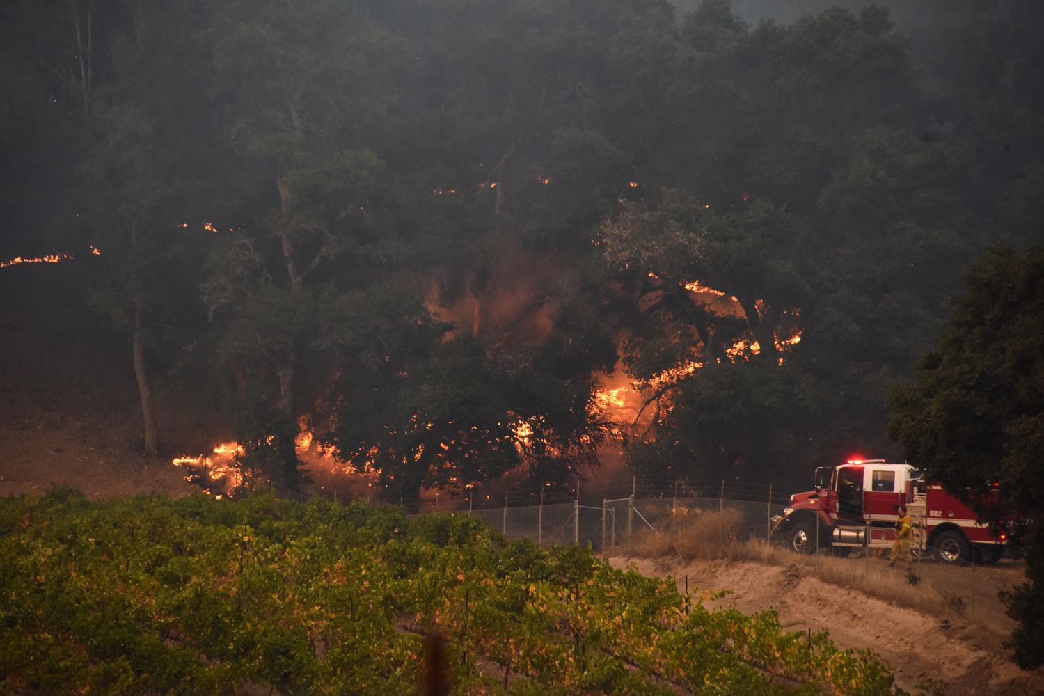 Incendi in California (AFP)&nbsp;