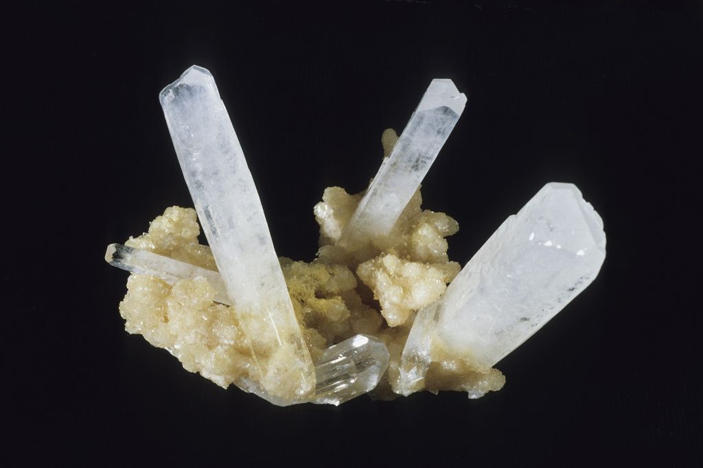 &nbsp;stronzio&nbsp;