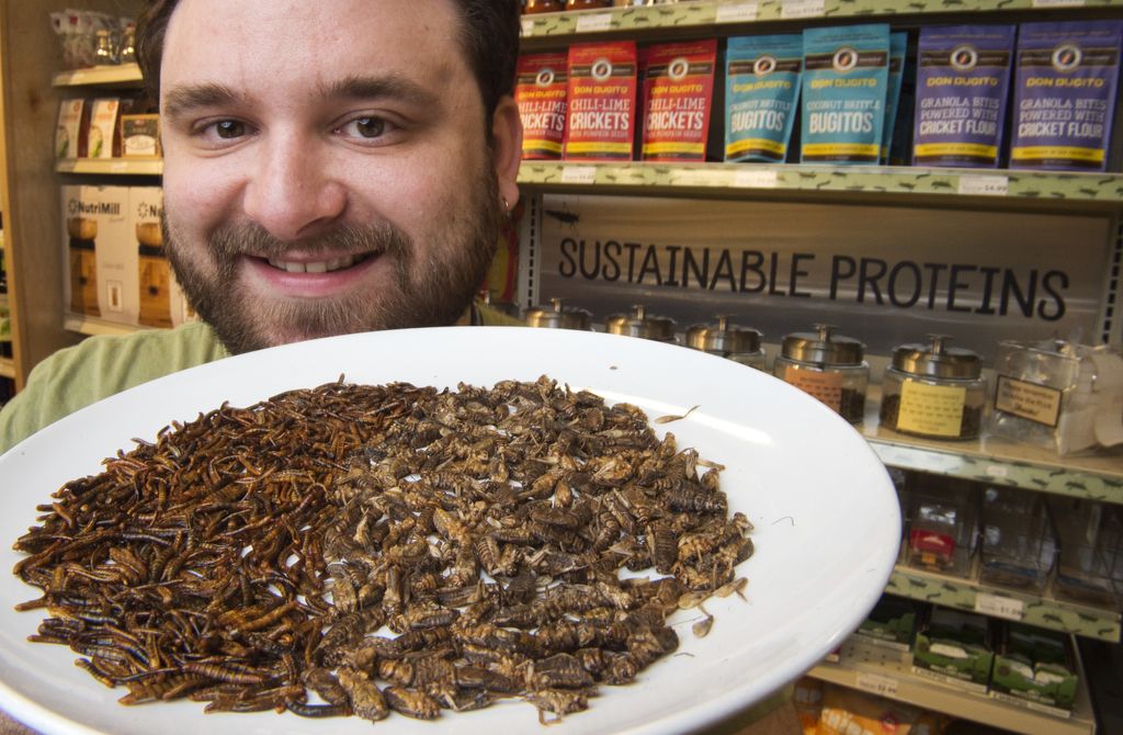 &nbsp;Un piatto di vermi della farina e grilli del Marocco