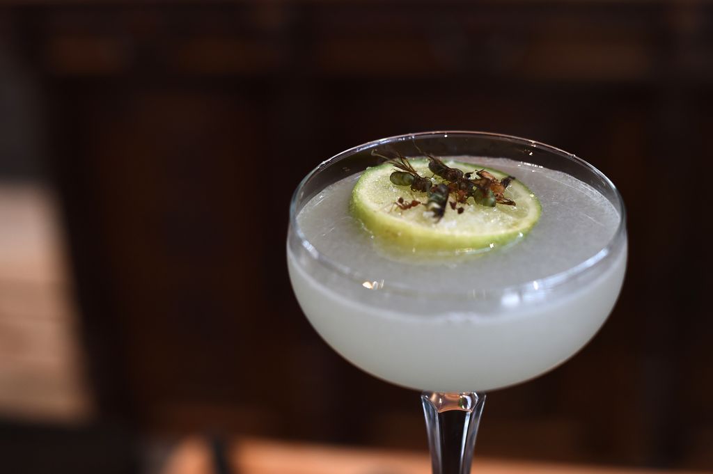 &nbsp;Formiche usate come guarnizione di un margarita