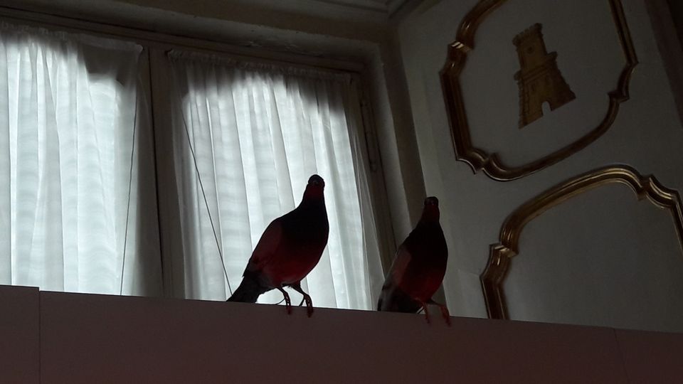 Maurizio Cattelan, &ldquo;Turisti&rdquo;,  in mostra nei saloni del Quirinale