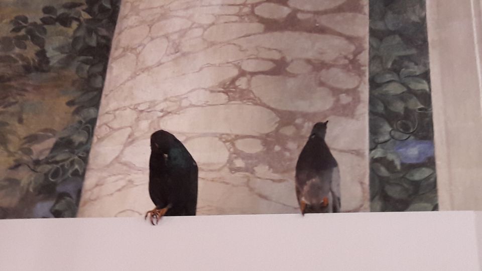 Maurizio Cattelan, &ldquo;Turisti&rdquo;,  in mostra nei saloni del Quirinale