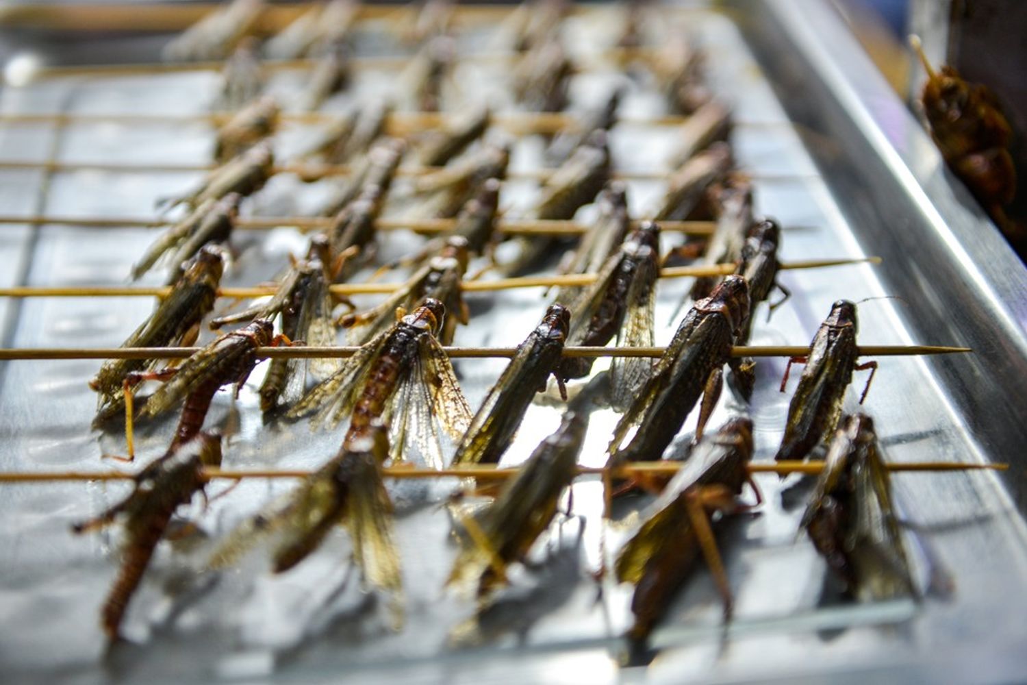 Spiedini di cavallette&nbsp;