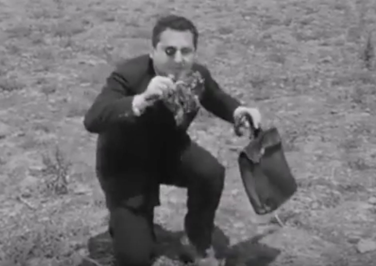&nbsp;Un fotogramma del film 'Bravissimo' in cui Alberto Sordi insegna ai bambini a raccogliere cicoria
