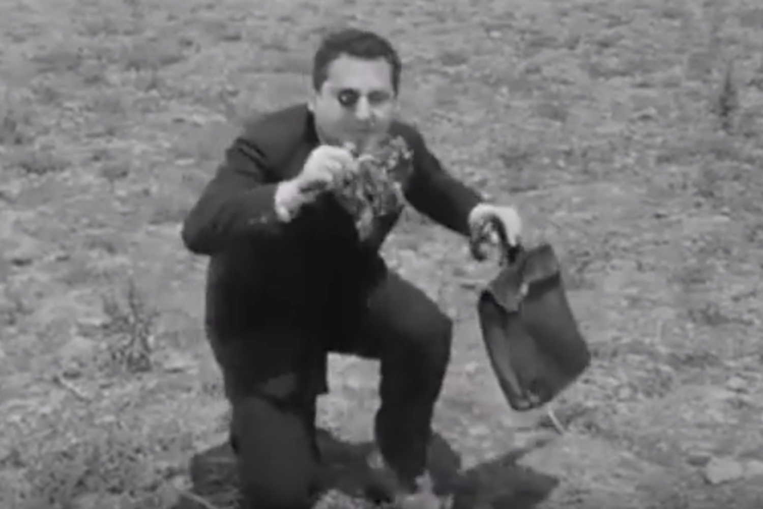 &nbsp;Un fotogramma del film 'Bravissimo' in cui Alberto Sordi insegna ai bambini a raccogliere cicoria