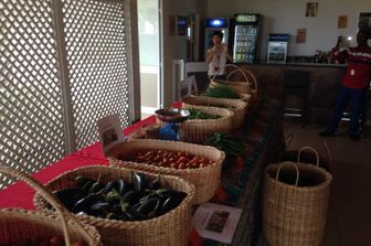 Produttori agricoli del Progetto Integrato di Hinda (PIH), organizzano la vendita di prodotti biologici, presso il Club Olio&nbsp;