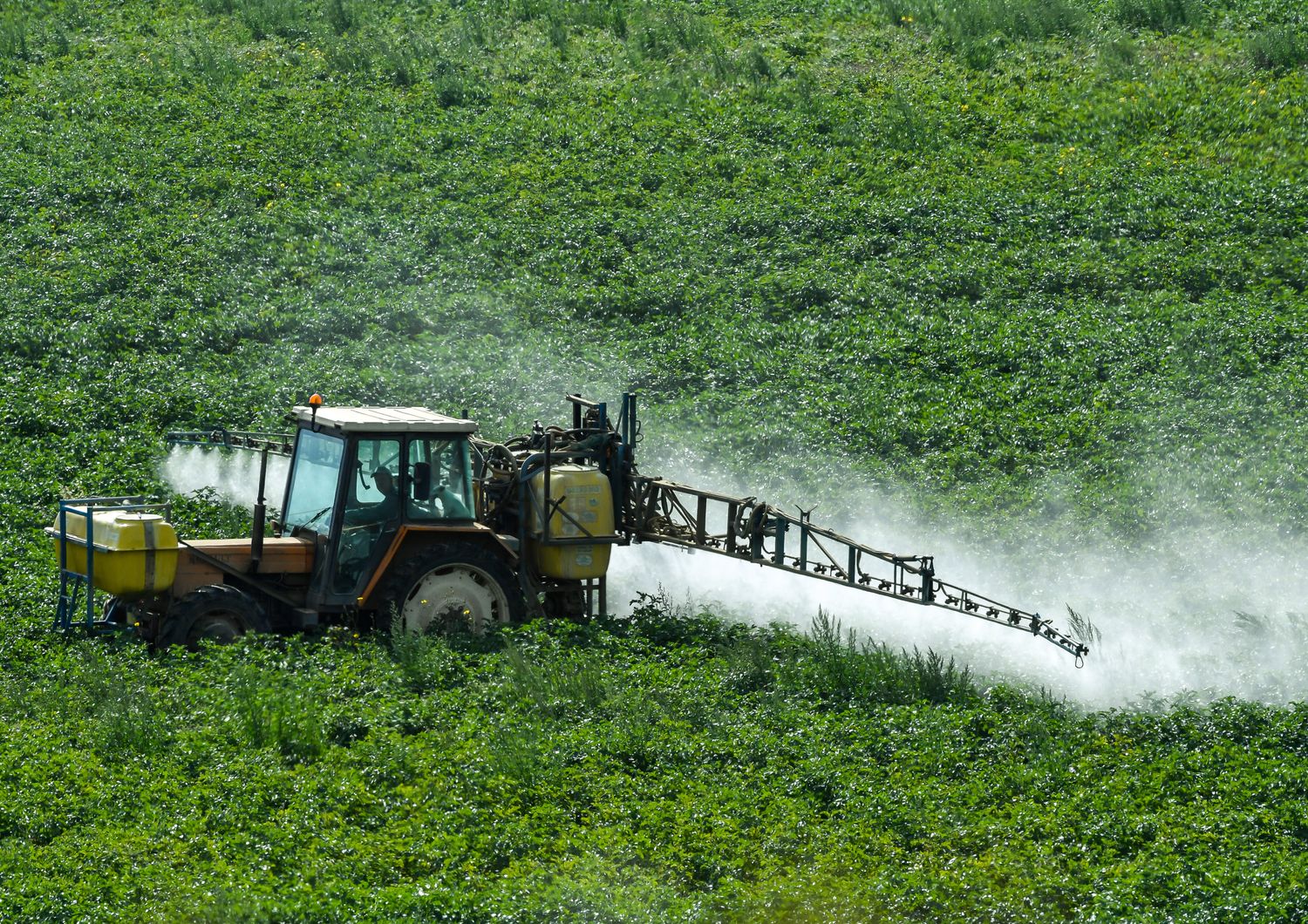 &nbsp;Pesticidi agricoltura