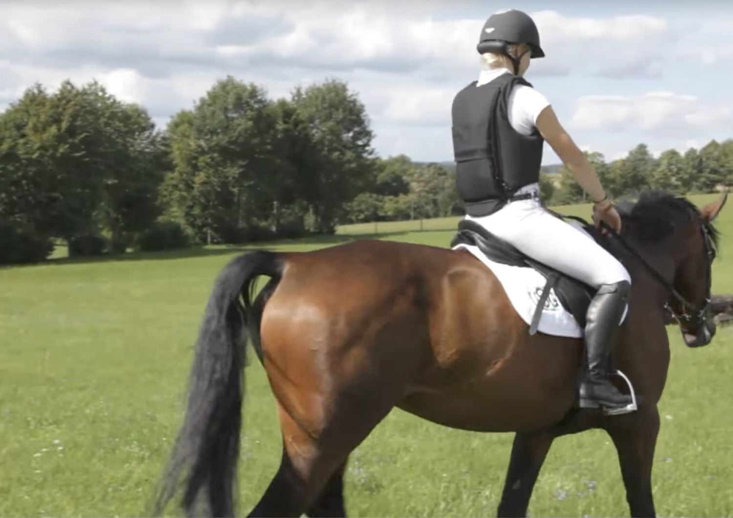 Una quindicenne è stata colpita con un calcio in faccia da un cavallo ...