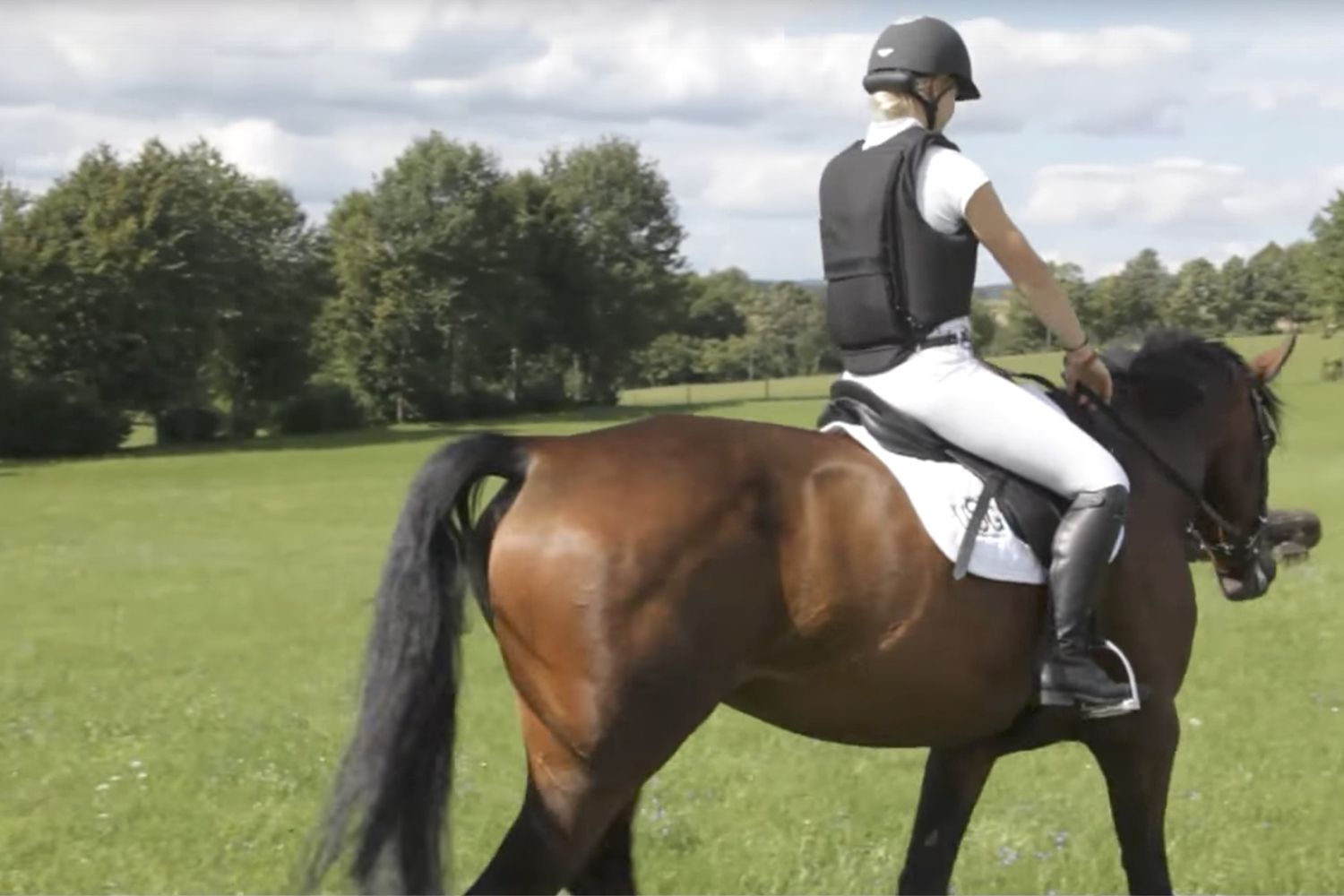 &nbsp;airbag da cavallo