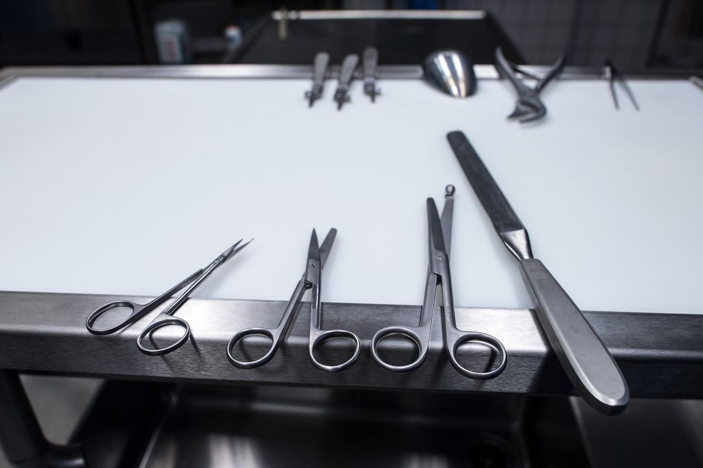 &nbsp;Un tavolo autoptico