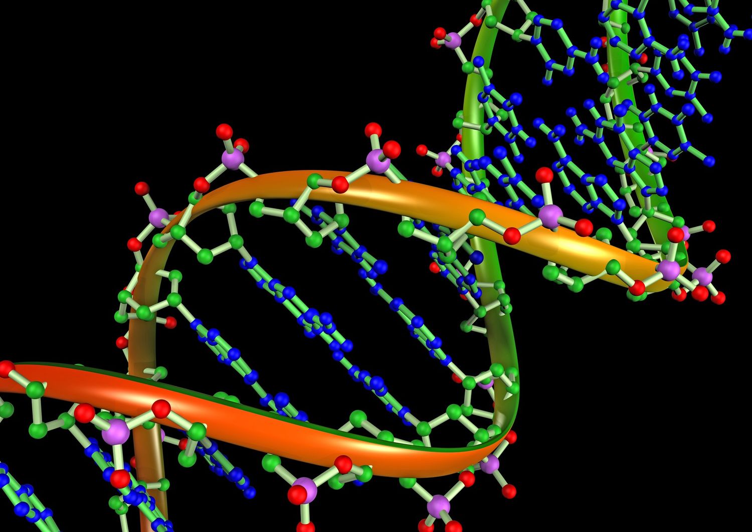 Scoperti due nuovi metodi di correzione di bozze per modificare il DNA