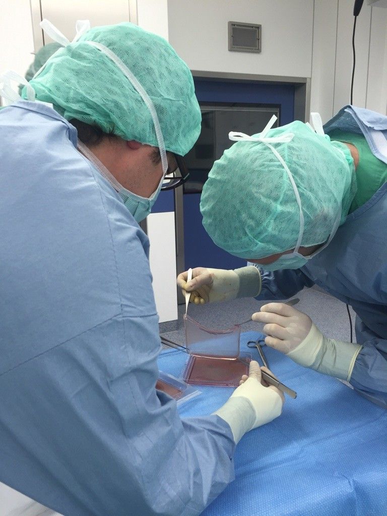 Un momento del trapianto