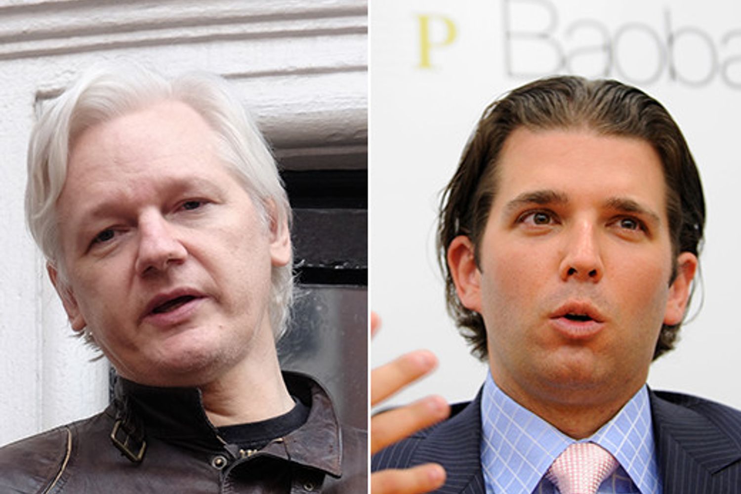 Assange-Donald Trump Junior (AFP)&nbsp;