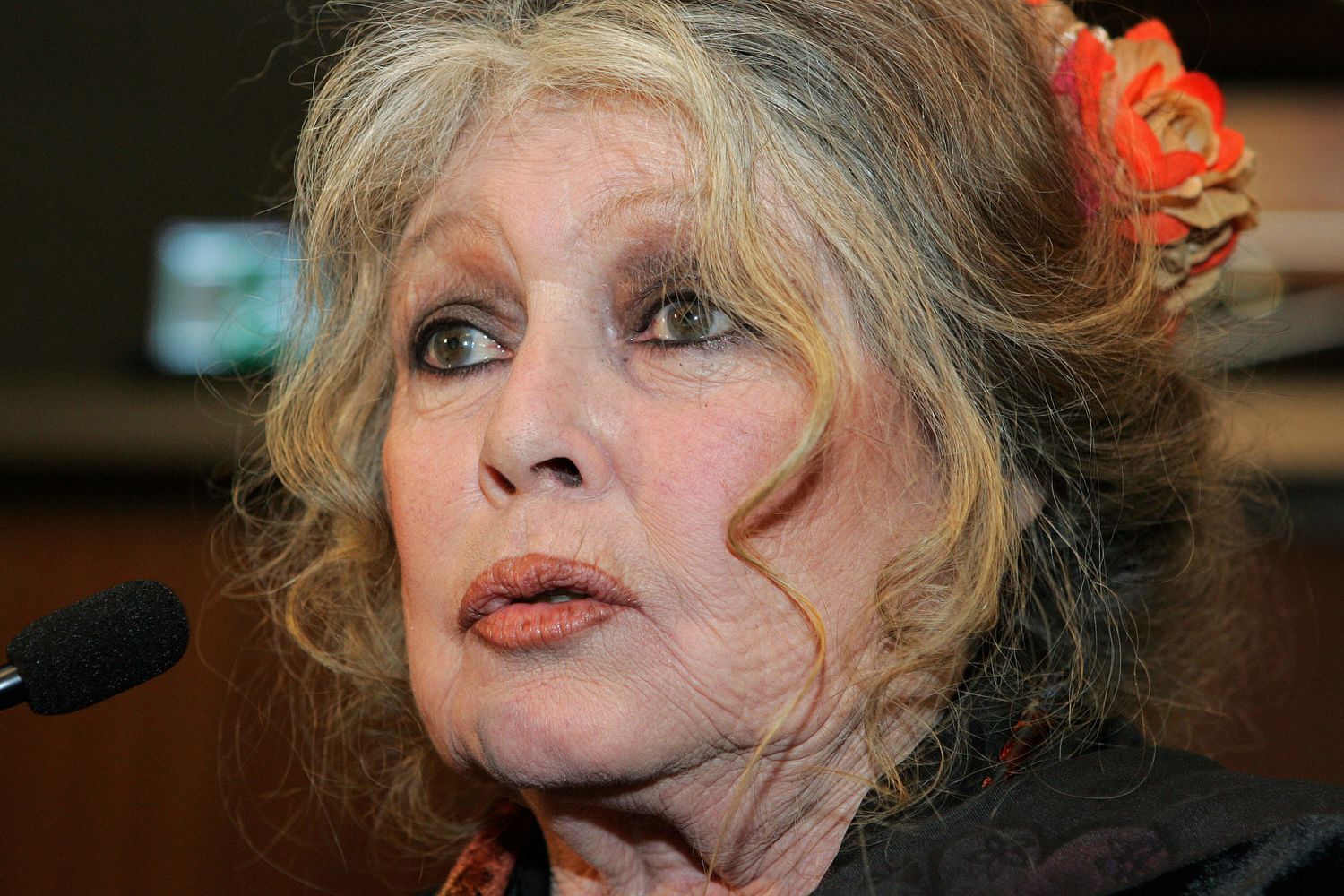 Brigitte Bardot (Afp)&nbsp;