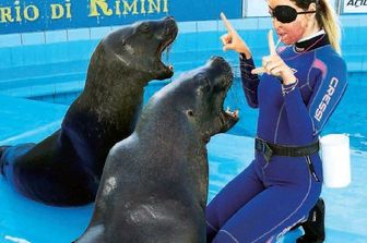 &nbsp;Gessica Notaro