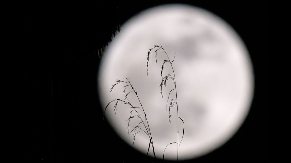 Super luna ad Hong Kong (AFP)